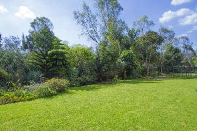 nairobi_botanica_gardening_Residential_COLLINGHAM RESIDENCES
