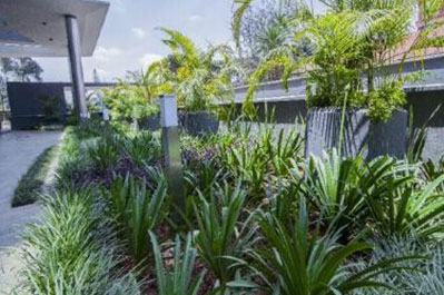 nairobi_botanica_gardening_Commercial_TIARA II OFFICE PARK