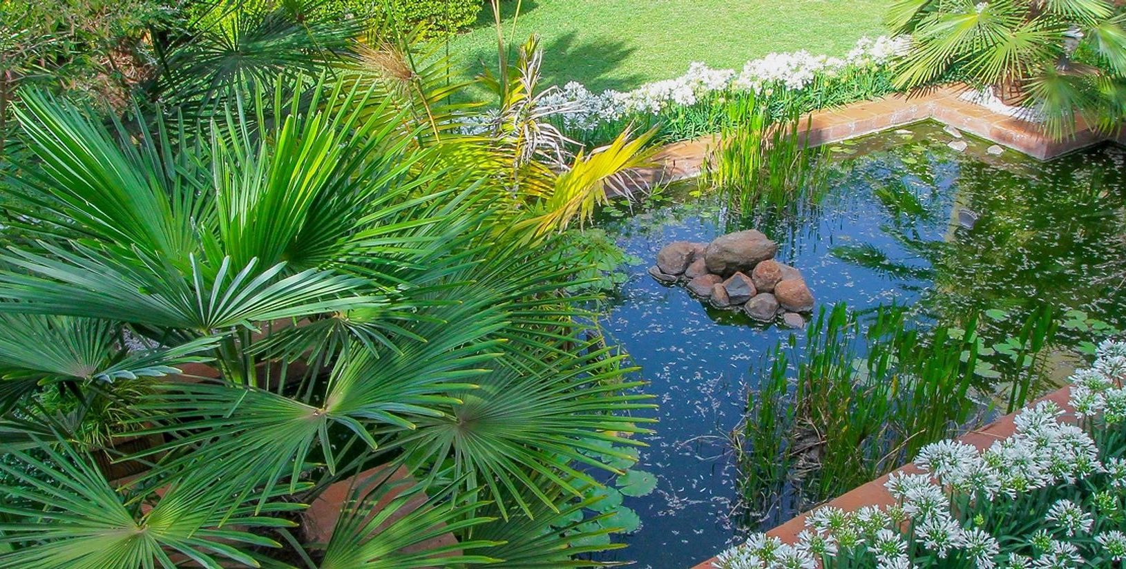 botanica_installation