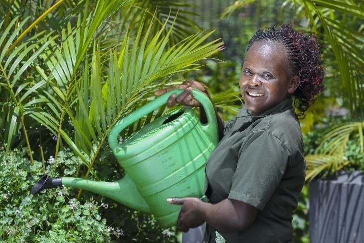 botanica_maintenance