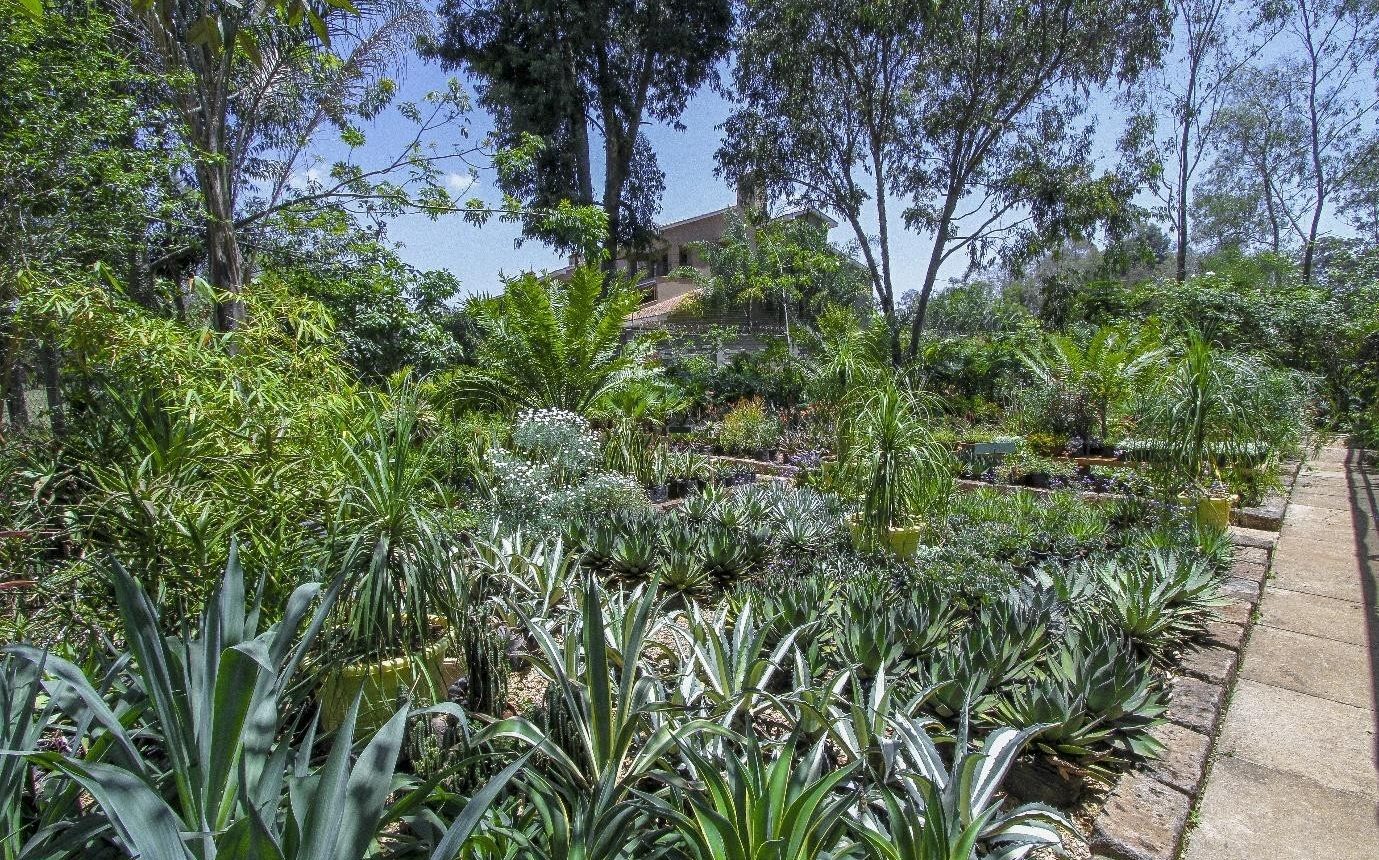 botanica_Plant Nurseries